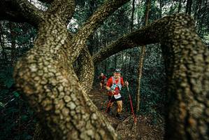 BIB: 
                            <button type="button" onclick="openModal(25669356)" class="btn btn-primary btn-sm float-right btn-popup" data-toggle="modal" data-target=".modal-high-quality">
                        <i class="fas fa-shopping-cart"></i> Add to Cart
                    </button>
                                            <button type="button" onclick="isThisMe(25669356, true)" class="btn btn-success btn-sm float-right btn-popup btn-isme hidden" data-toggle="tooltip" data-placement="bottom" title="นี่คือรูปของคุณใช่ไหม คลิกที่นี่เพื่อเอาเข้าอัลบั้ม">
                        <i class="fas fa-plus"></i> Add to album
                    </button>
                    <button type="button" onclick="isThisMe(25669356, false)" class="btn btn-warning btn-sm float-right btn-popup btn-isnotme hidden">
                        <i class="fas fa-ban"></i> Remove from album
                    </button>